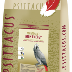 Psittacus Riproduttori Di Formula Di Energia