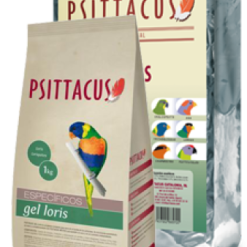 Psittacus Loris Gel