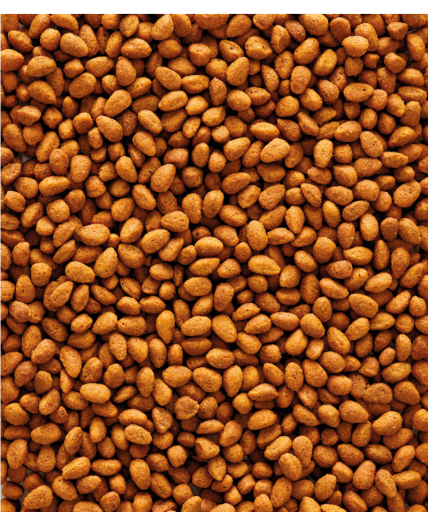 VERSELE-LAGA Versele Laga NutriBird G14 Original - Manutenzione - immagine 2