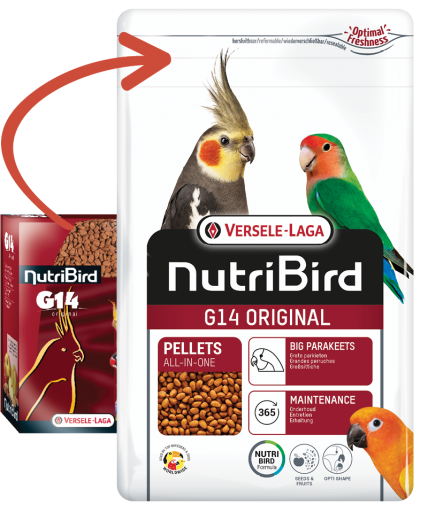 VERSELE-LAGA Versele Laga NutriBird G14 Original - Manutenzione - immagine 3