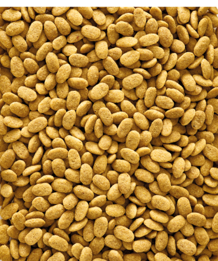 VERSELE-LAGA Versele Laga NutriBird P15 Original - Manutenzione - immagine 2