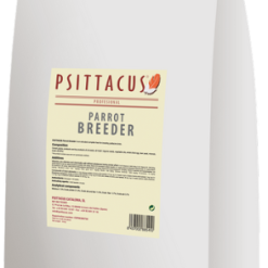 Psittacus Parrot Allevatore