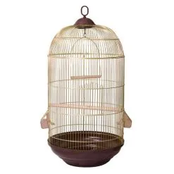 Arquivet Kit 2 Gabbie Lugano