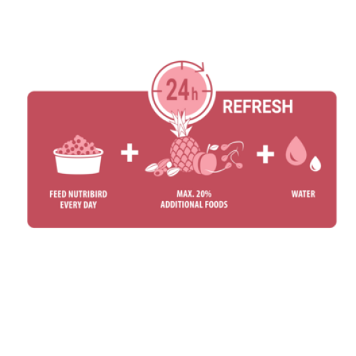 VERSELE-LAGA Versele Laga NutriBird G14 Original - Manutenzione - immagine 4
