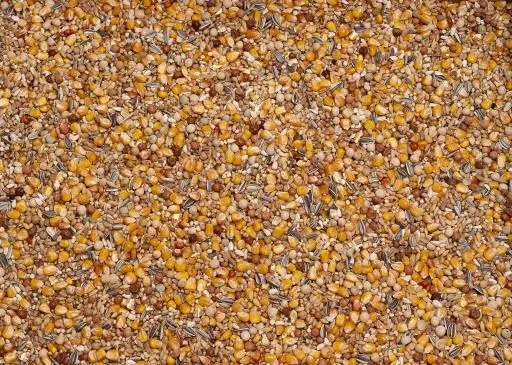 Beyers Basic Moulting - immagine 2