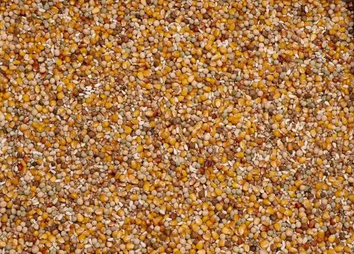 Beyers Original Sport - immagine 2