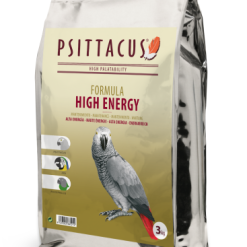 Psittacus Alta Energia