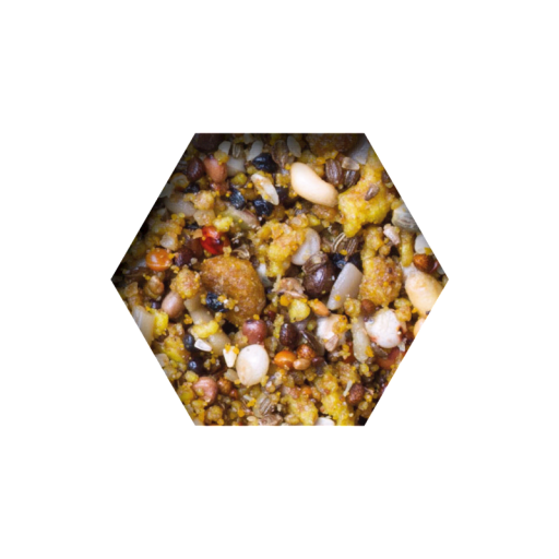 Beyers Growth Energy Moulting Mix - immagine 2