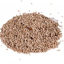 Vadigran Semi Di Perilla Bianca Per Passeriformi