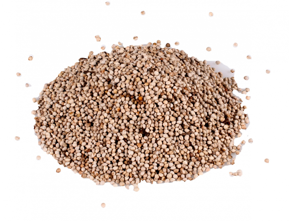 Vadigran Semi Di Perilla Bianca Per Passeriformi