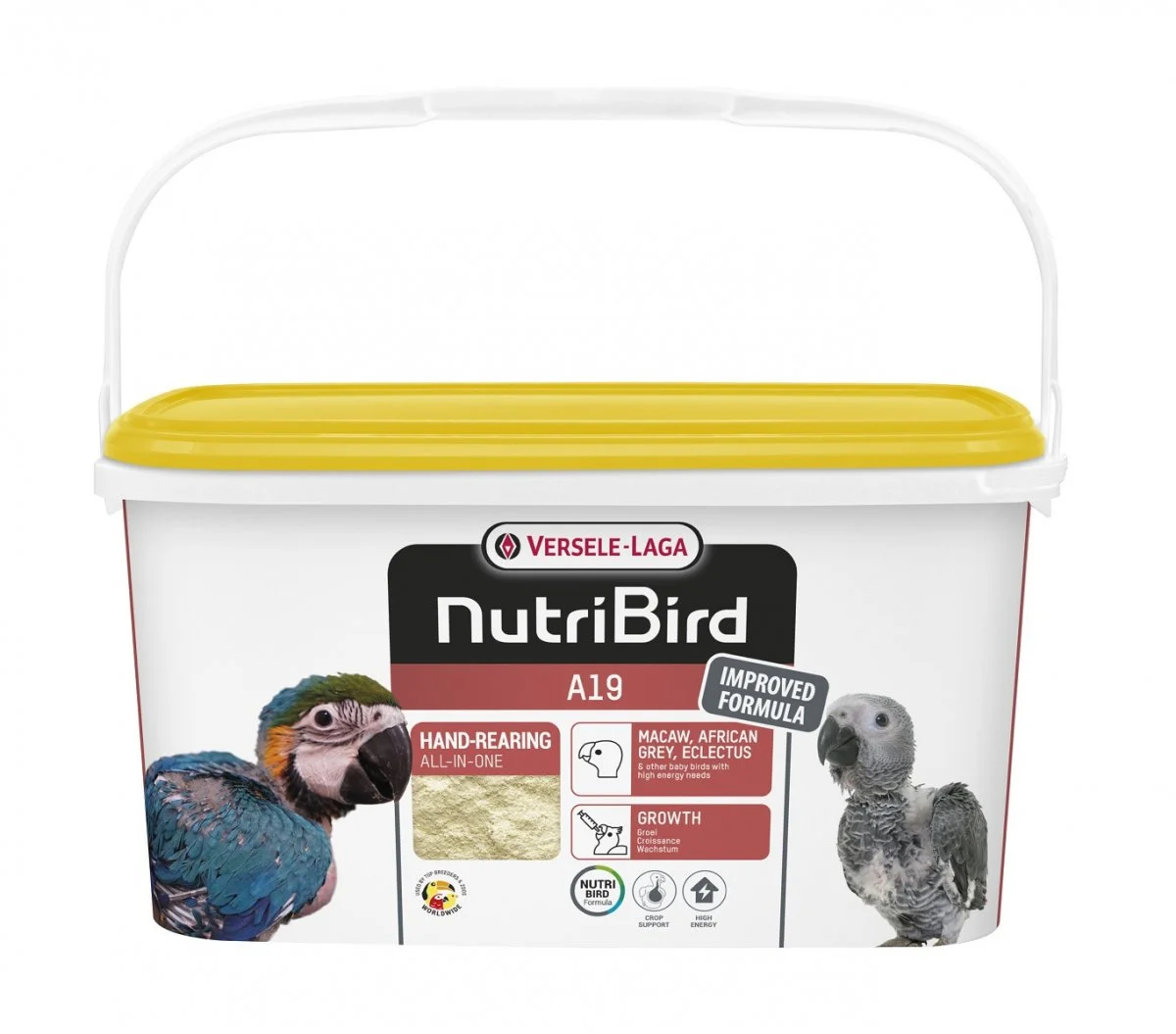 VERSELE-LAGA NutriBird A19 Allevamento A Mano Per Ara, Eclectus E Parrocchetti Grigi Del Gabon