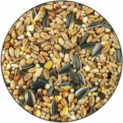 Gasco Miscela Essenziale Per Uccelli Selvatici