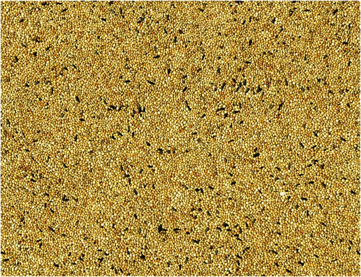 Vadigran Alimento Per Uccelli Esotici Original - immagine 2