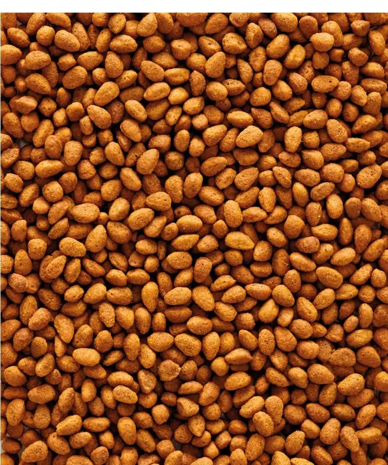 VERSELE-LAGA NutriBird G14 Original Mangime Per Grandi Parrocchetti - immagine 3