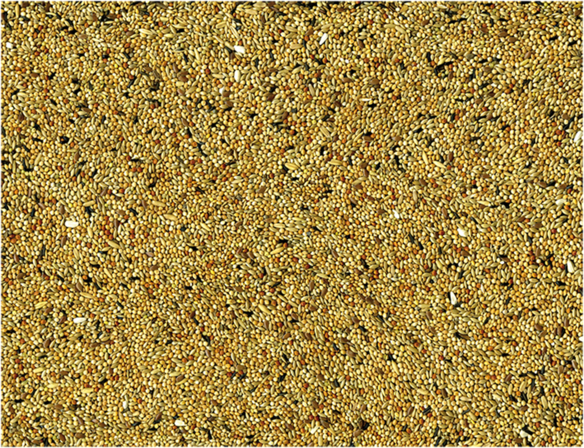 Vadigran Miscela Di Semi Original Per Parrocchetti - immagine 4