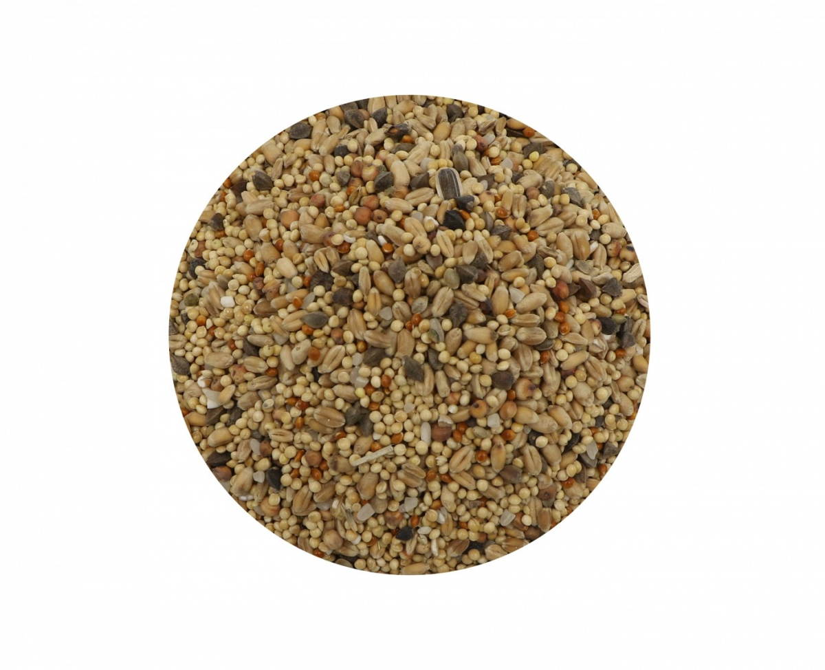 Aime Aimé Nutri'Balance Alimento Completo Per Tortora - immagine 6