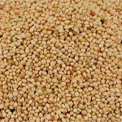 Vadigran Miglio Bianco Per Uccelli