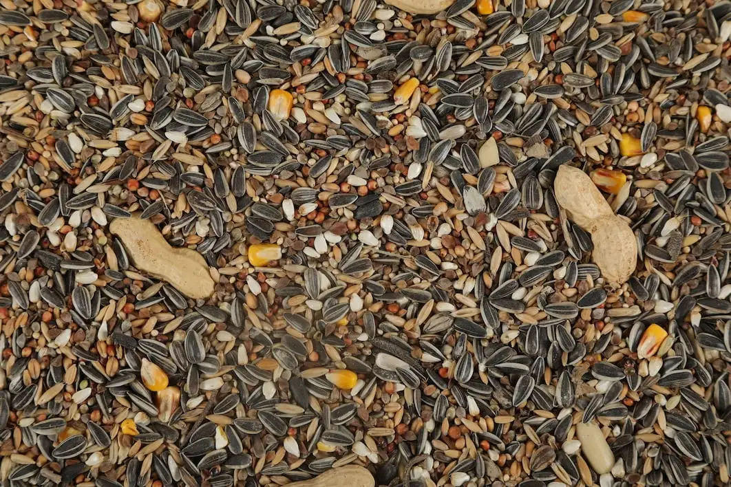 Zolux Cibo Per Pappagalli Nutrimeal - immagine 3