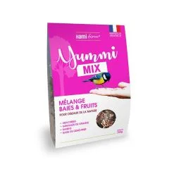 HAMIFORM Yummi Mix - Miscela Di Bacche E Frutta Per Gli Uccelli Dell'aria
