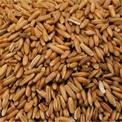 Vadigran Semi D'avena Sguciati Per Uccelli