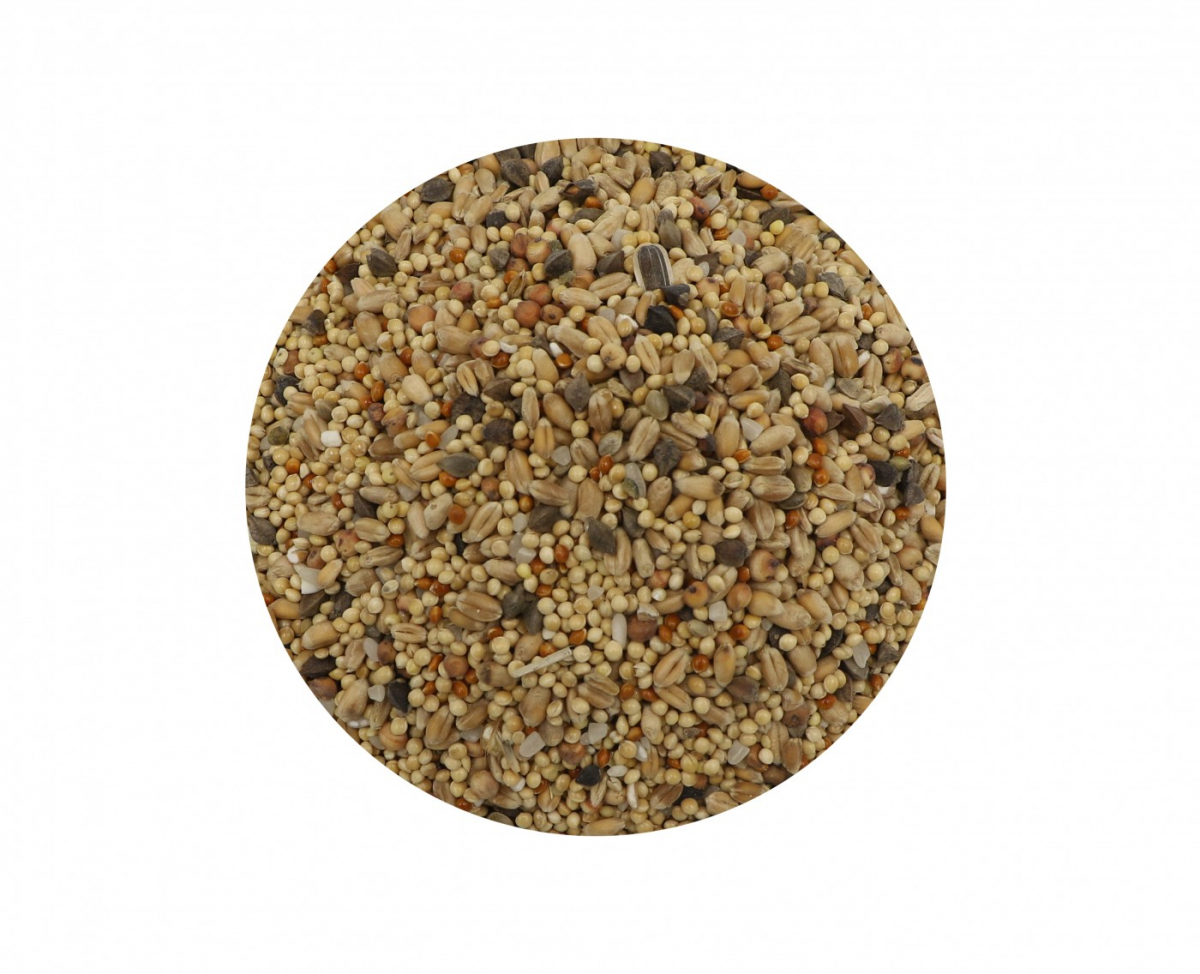 Aime Aimé Nutri'Balance Alimento Completo Per Tortora - immagine 3