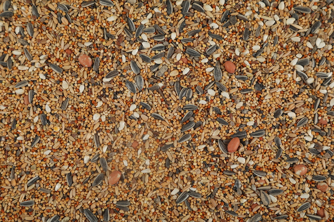 Zolux Nutrimeal Alimentazione Per Grande Parrocchetto - immagine 3