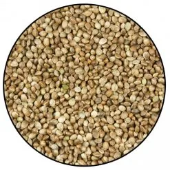 Gasco Semi Di Canapa Per Uccelli Selvatici