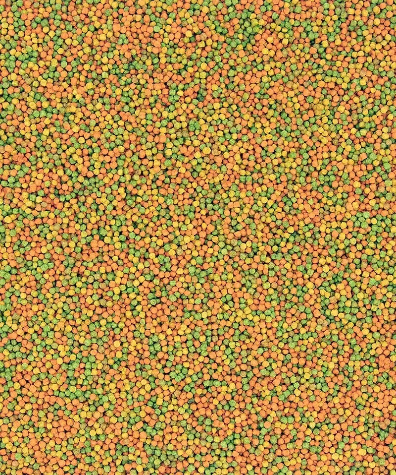 VERSELE-LAGA NutriBird B 18 D'allevamento Per Parrocchetti Ondulati Ed Altri Piccoli Parrocchetti - immagine 2