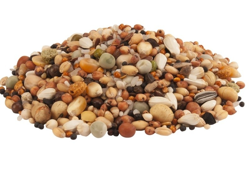 VERSELE-LAGA Show Standard Miscela Per Colombi - immagine 2