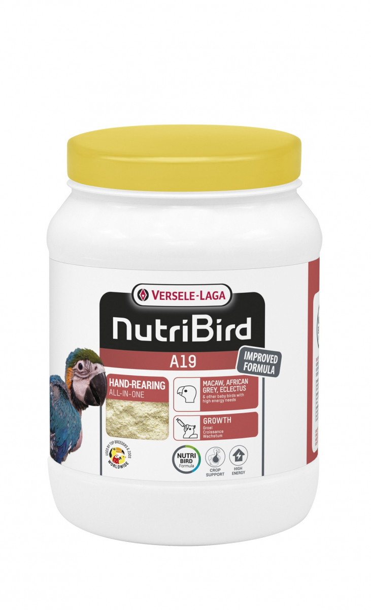 VERSELE-LAGA NutriBird A19 Allevamento A Mano Per Ara, Eclectus E Parrocchetti Grigi Del Gabon - immagine 3