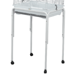 Mgz Alamber Piede Per Gabbia Loro - Chenoa - Agora