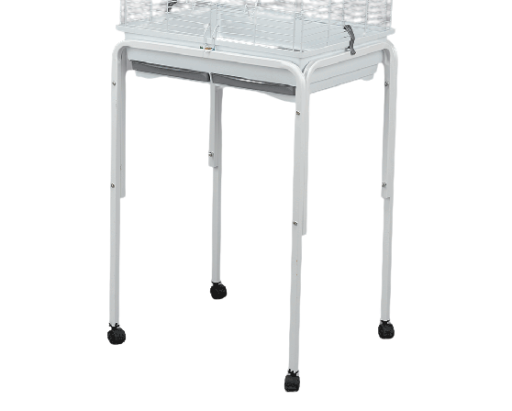 Mgz Alamber Piede Per Gabbia Loro - Chenoa - Agora